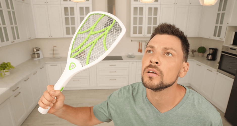 Légy, mint a légy – tanulj célratörést egy rovartól!